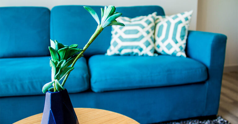 canapé convertible bleu avec coussins décoratifs et table basse en bois dans salon lumineux