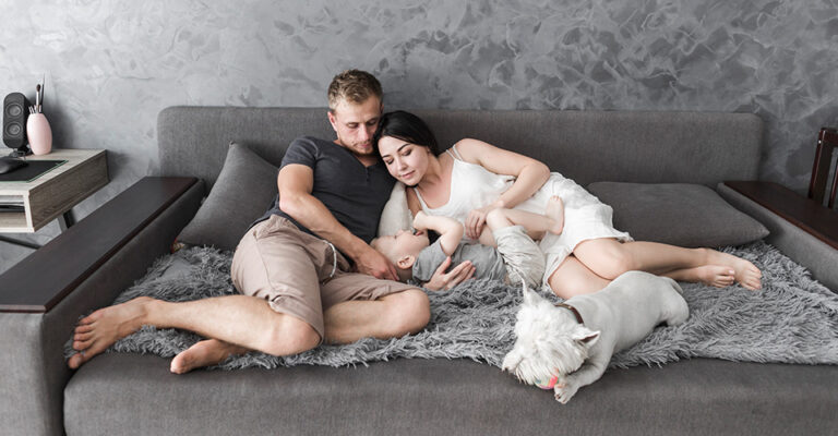 Canapé convertible et fauteuil coordonnés dans un salon chaleureux